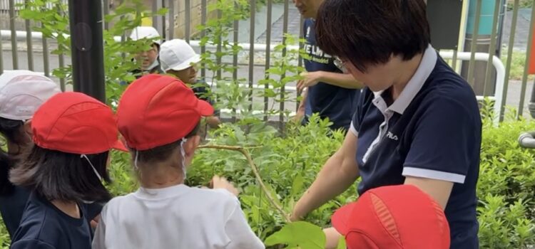 校長ブログ103　「自分でやる」小学校で身につけるべきこと